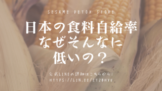 日本の食料自給率はなぜそんなに低いのか？