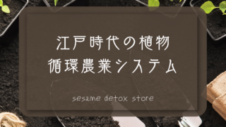 江戸時代はやっていた！オーガニック植物循環システム