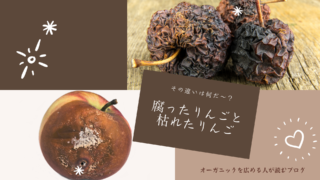 「枯れる野菜」と「腐る野菜」どちらを選ぶ？